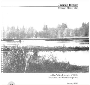 Concept Master Plan - Jackson Bottom