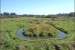 JB Restoration- Wapato Marsh Before 2