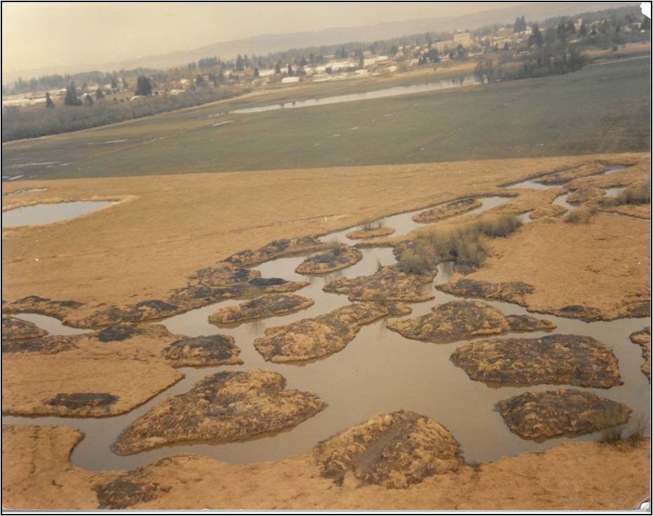 JB Restoration- Wapato Marsh Before