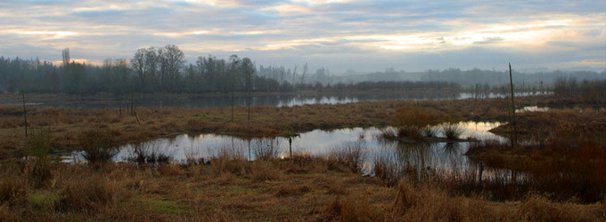 sub-wetlands